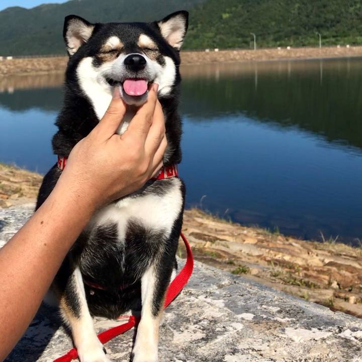 D576b671 5fc0 4153 8e78 3a78d6a2f4bb 1545270911045