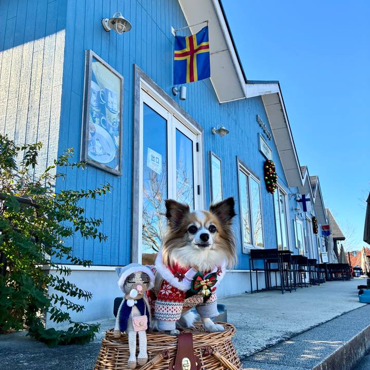 D576d806 2a11 41c9 a584 85b7226cf19a 1765093990478