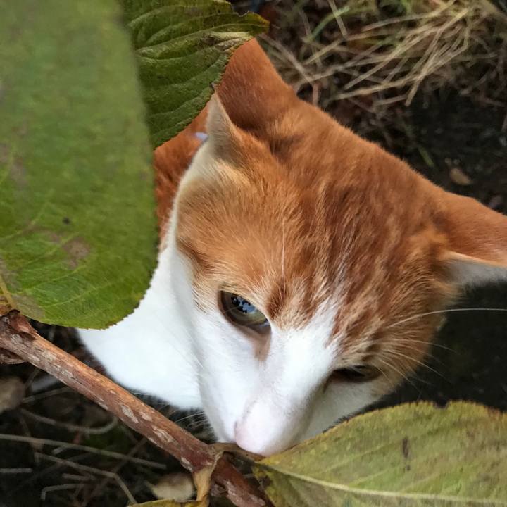 D577577b 8e49 4f34 b0ca 285c9ce8218f 1511425407653