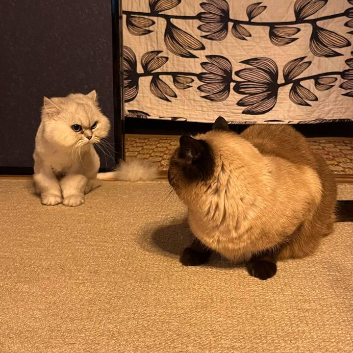 D5779343 406c 40e9 a8ba c556cd6d016e 1716290270458