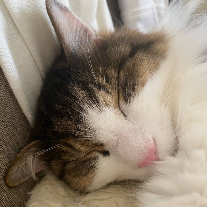 D577c110 12c5 419c 96ee 6cc894d1f0e1 1693796529359