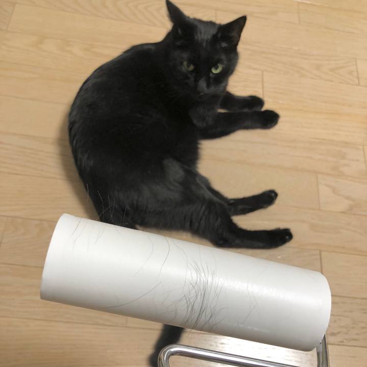 D577c52d 9d4a 409a a06d 273b7822f25e 1607435221582