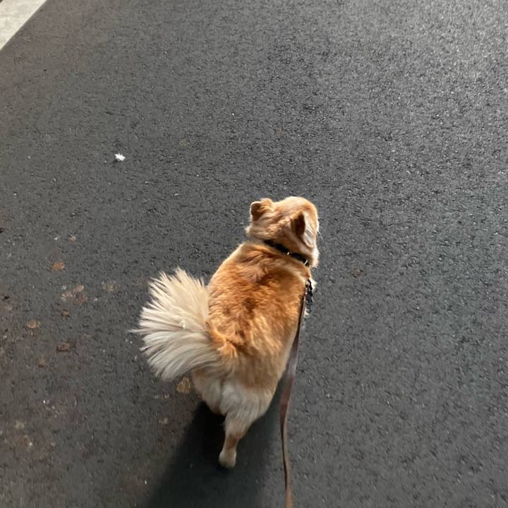 D5781288 4d56 4f9e a7e2 5e3c314dcb3a 1768039202385