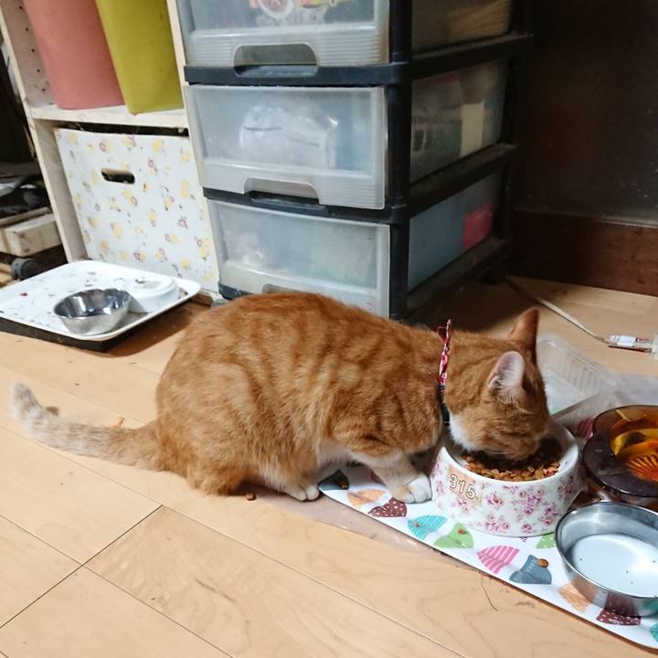 D57814ff 3e79 4d19 a2df f38874a0191a 1598613707053