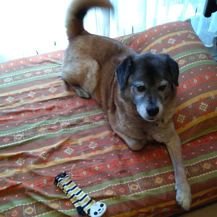 D5781da6 495d 411d 9a17 2975b3a0f107 1559088757518