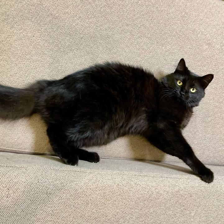 D5785753 9aa8 478c 9a4c 3dc0d196e479 1764766010521