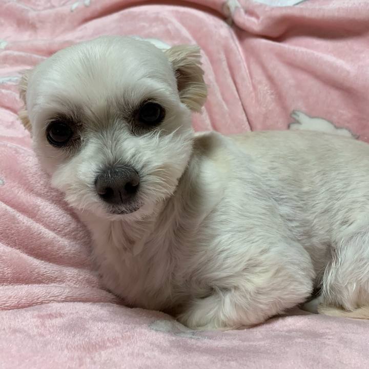 D578ada4 51b0 4a2a af2e 54a9ab882e1d 1578395959920