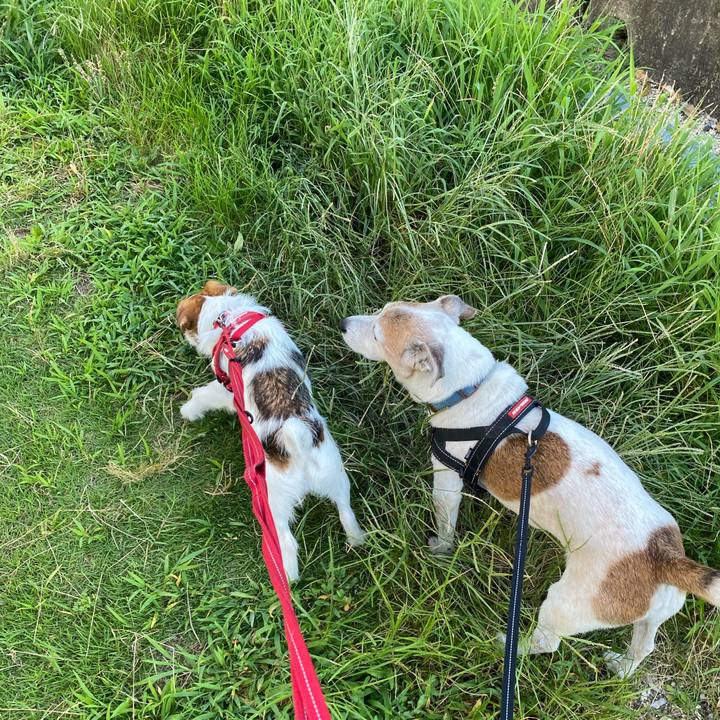 D579010f 452f 4bff 8673 30f776d903f3 1626995460458