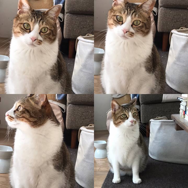 D5793c74 4b1b 43b0 ab3f 2f71c9cf2b5d 1553497478484