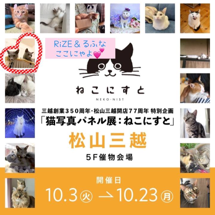 D5795605 d7f1 444b 8eaa 950e9970ecd2 1694646596275