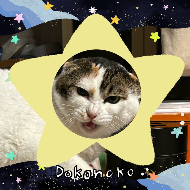 D5795619 d81c 4a1f a884 16d7e8480621 1720786721246