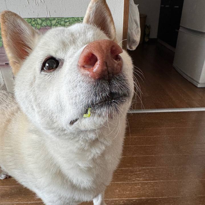 D5795658 161a 4432 b5ba 7bd2a7b46eae 1772770215017