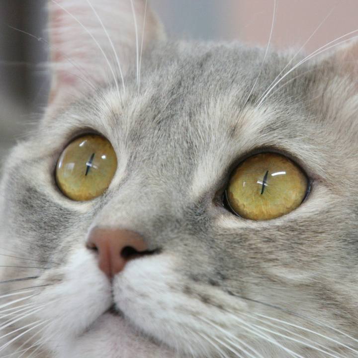 D57959dc 4e61 4cf3 86c2 ece72af07db6 1516015325500