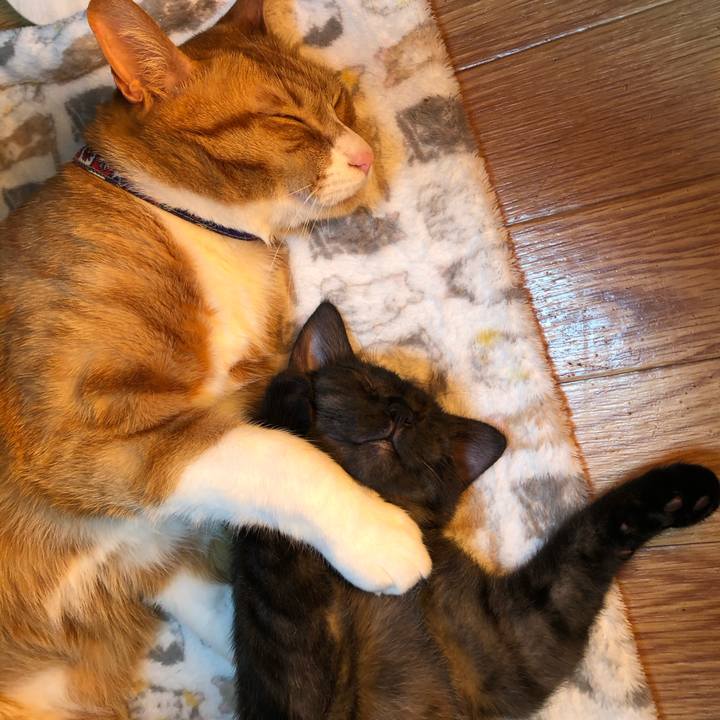 D5798db8 26eb 4d04 959d f68ddb19def1 1611242525109