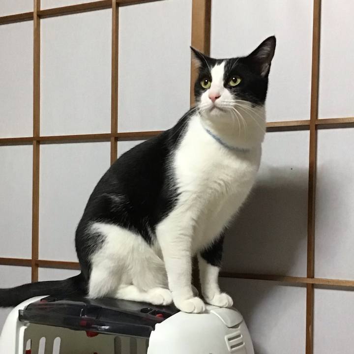 D57997a3 7040 4256 b65a d7600a9c7378 1697630260189