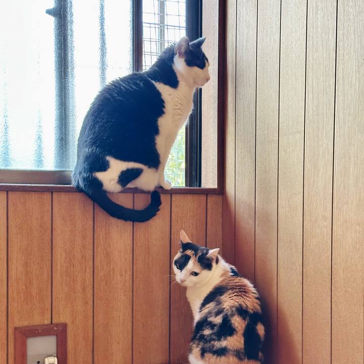 D579a257 2583 40aa 8553 1cdf1a06f037 1713921566858