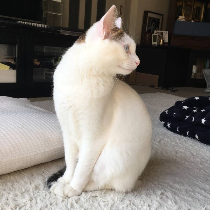 D579ac62 fa79 466c a745 b8fe5cdc8621 1523253497474