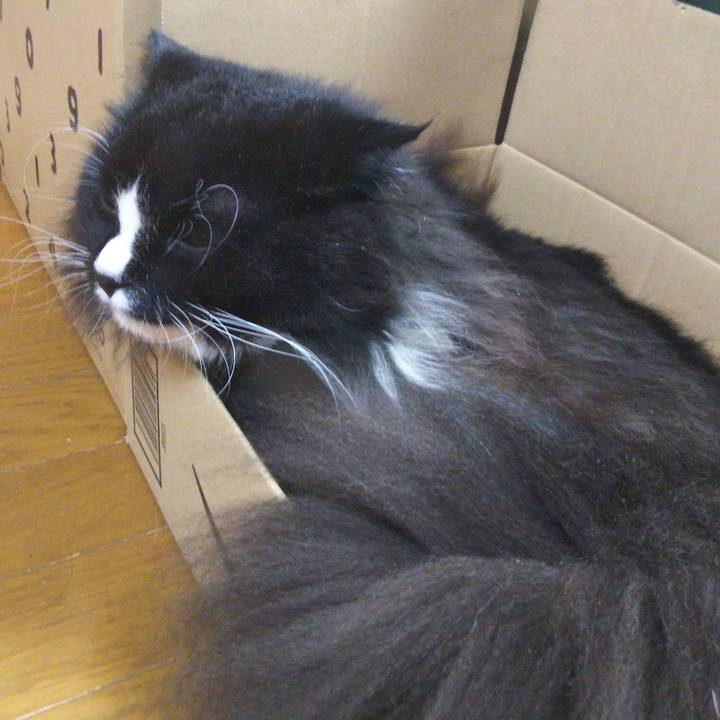 D579bb7d 587e 4784 a1fb 97c5e212c79c 1662335754892