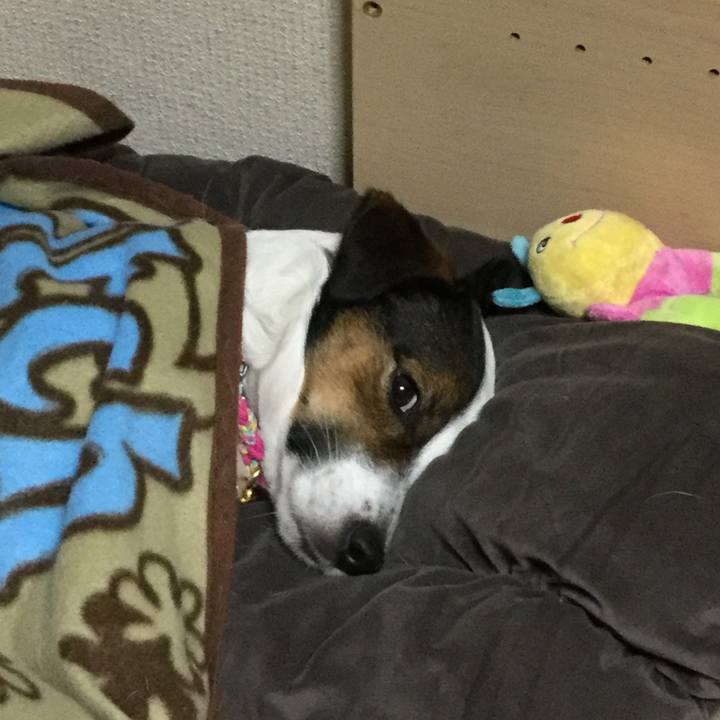 D57a138f 75c5 4a0d ad47 97f43fb7427e 1511178765042