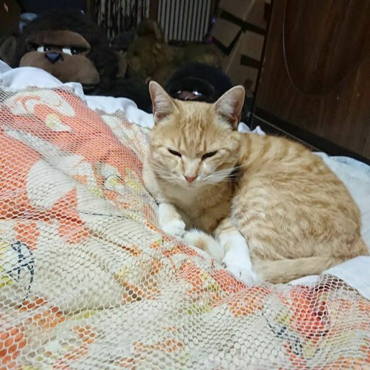 D57a1aef a549 4c3f 8eb3 d7782fe42f73 1587121754286