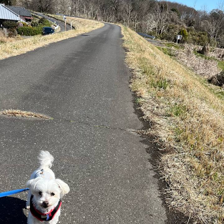 D57a3f03 4bc0 4c5e 9fb9 2ff244413d10 1679311074661