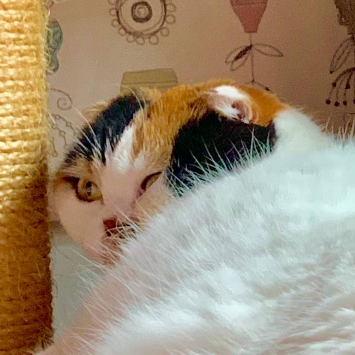 D57a5b7e 43aa 45f5 8f68 9d341a4396d4 1563224161873