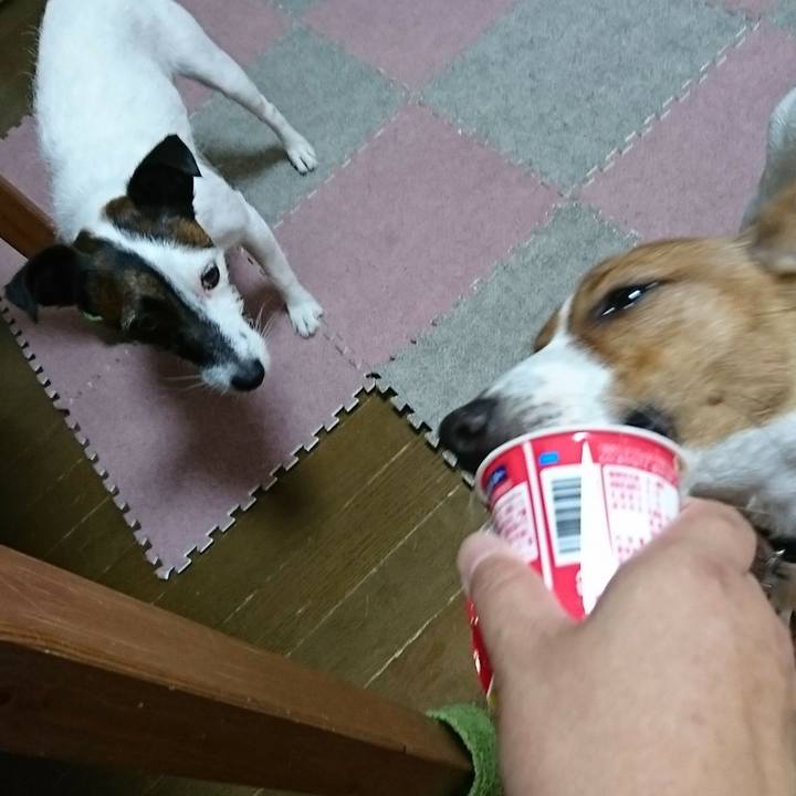 D57a9588 59d8 46fa 9cad cd38c2e4199b 1532385644399