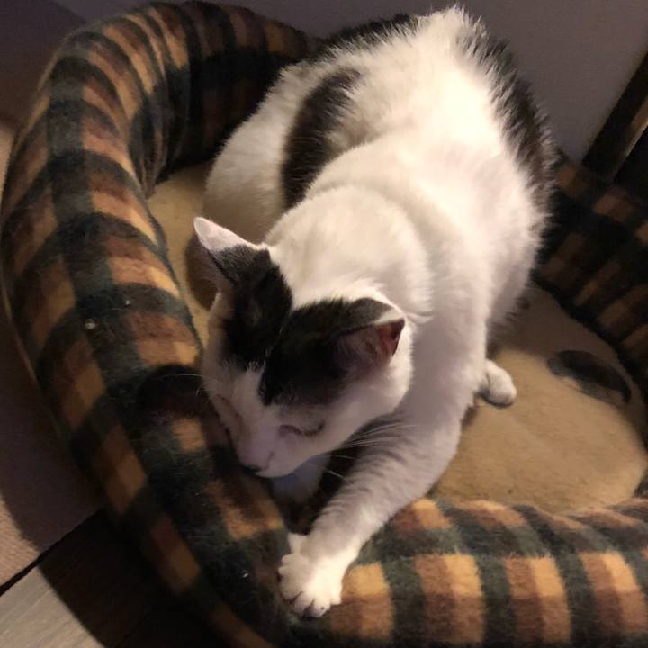 D57aa54e 350b 49d5 aa9e 0f9ba4abd9ff 1532265471790