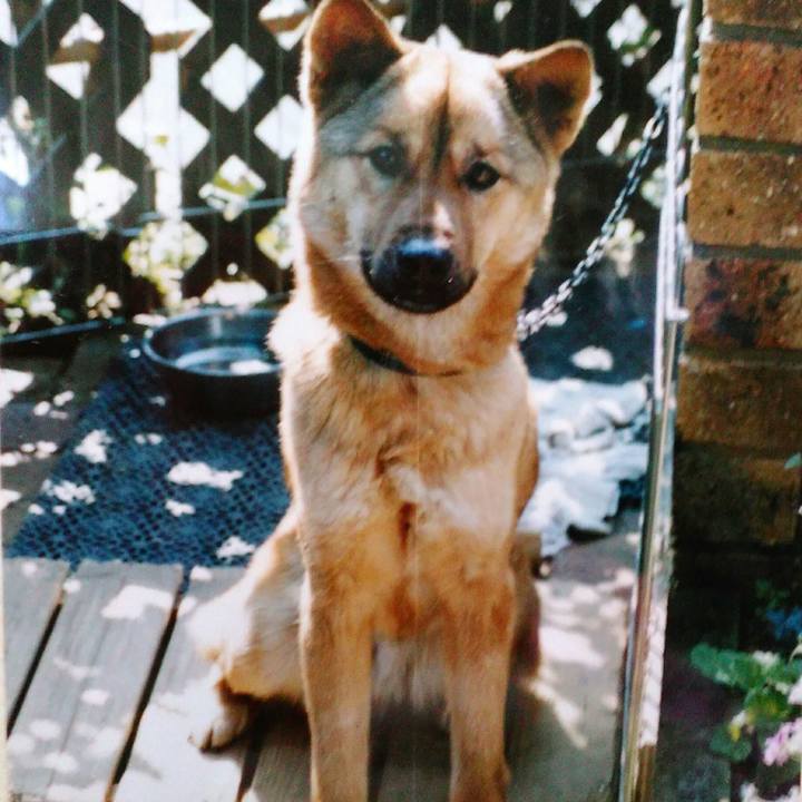 D57ae327 b912 43c5 b478 dcd3a6694606 1515295593488