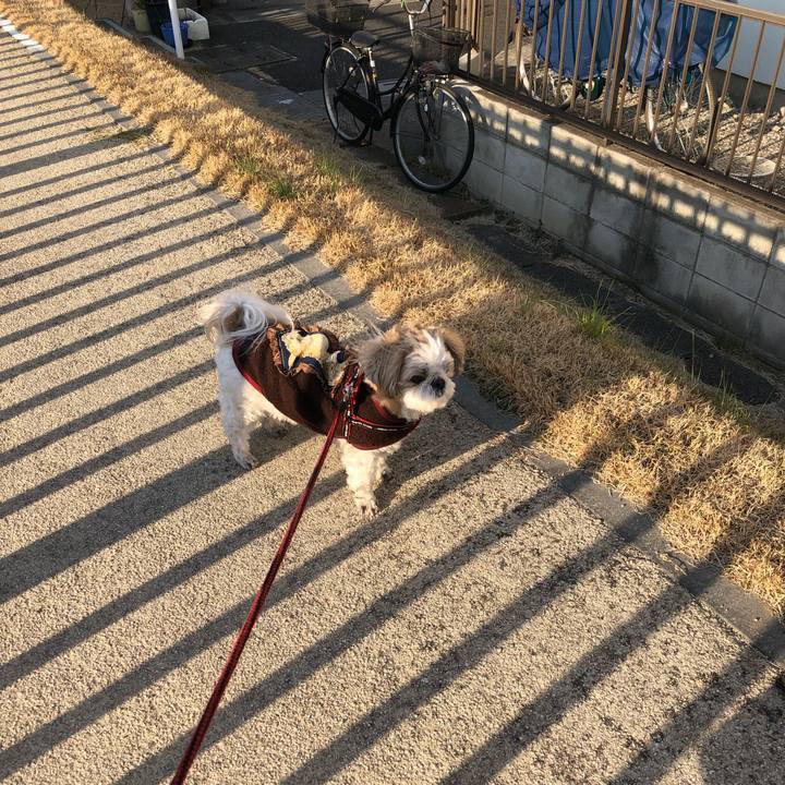 D57b2509 1860 41d5 a14d 33df92a0fda2 1551222353213