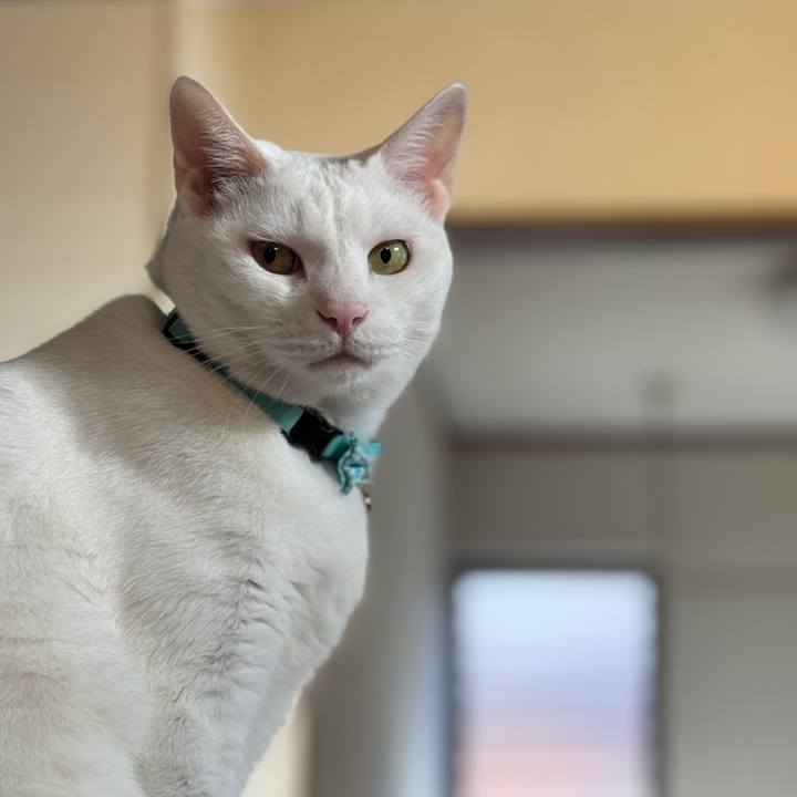 D57b4f40 7c47 47b5 8a9a cebf33b51488 1763425433835