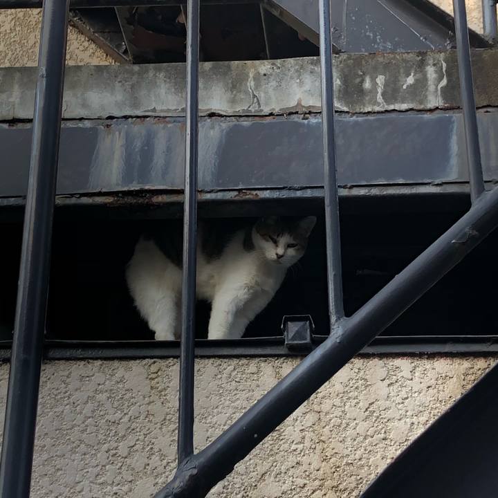 D57b8735 b948 4b6b 9461 078aac043862 1572732640646