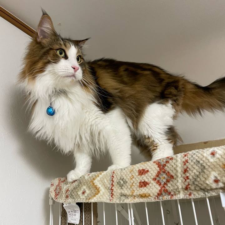 D57b8c4c bc9a 45d0 9c2b 0353766f8600 1708025464250