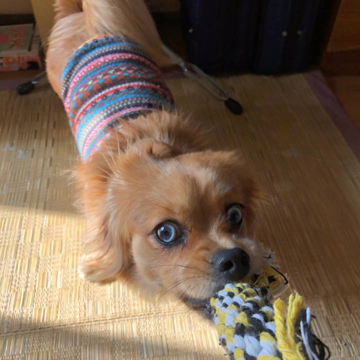 D57b94b8 0872 4958 ac58 a1037832eea0 1519515867227