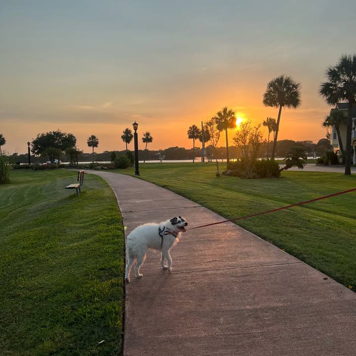 D57ba398 6159 438b 8fb8 5a8df333bf6a 1690586161745