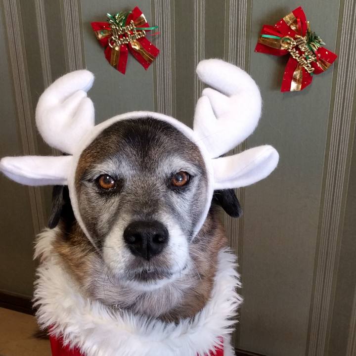 D57bb579 2ed5 4c52 a7f7 ebf087a9eaea 1655513132588