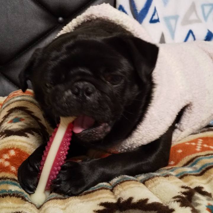 D57bd3b2 e1e1 4eb5 a714 874144f7f2e0 1584113699696