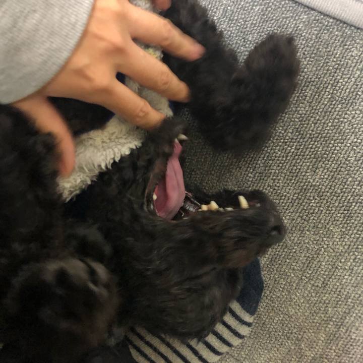 D57bd887 7de9 4dda acdb fbc840853506 1603542976608