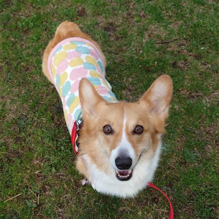 D57c0976 25f4 4c9c 918b f520ced8f5cd 1776814366816