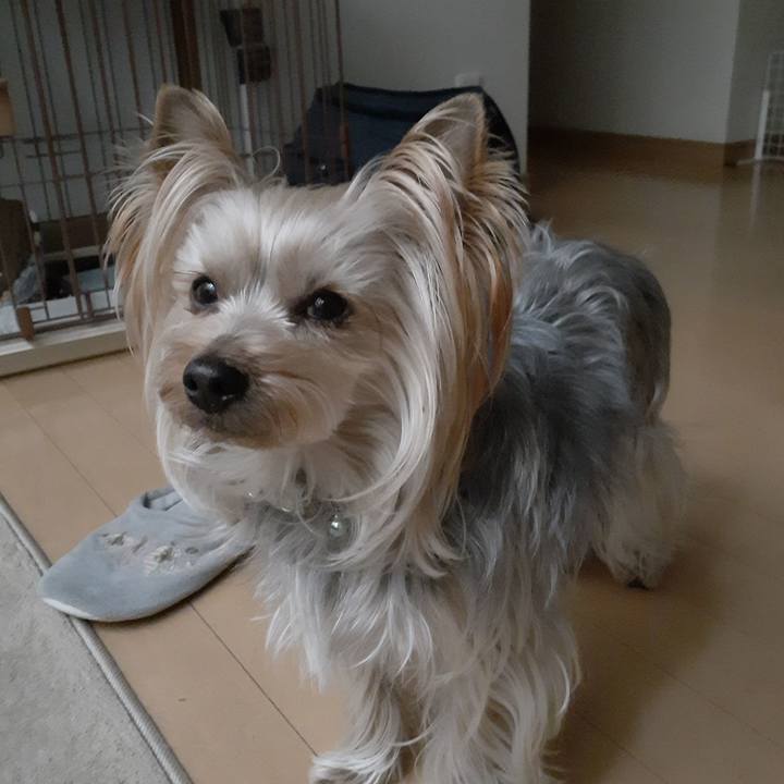 D57c29ca 403d 4304 bd4e 845f0524c780 1614556057066