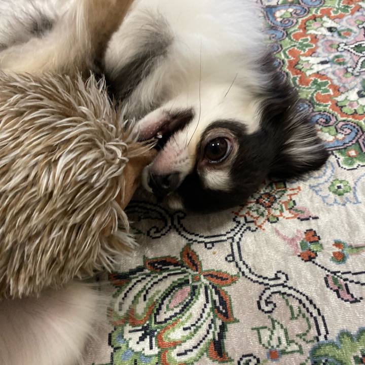 D57c4493 bd3e 4167 936e 12ec899575e5 1660487166499