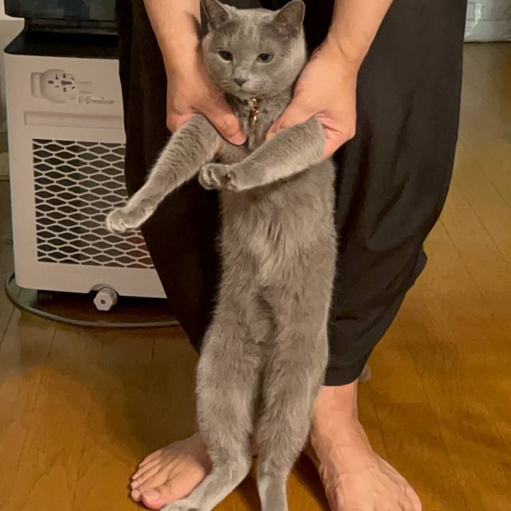 D57c6641 15da 4ace aa53 3dd3b220a13e 1750856174617