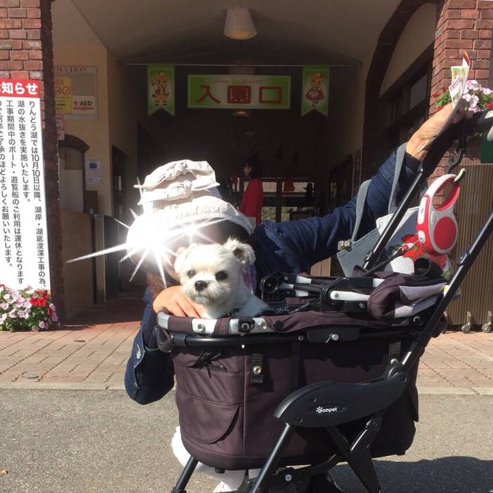 D57c8fc8 6a89 499c a7ce cd3fcc6759f5 1509275643686