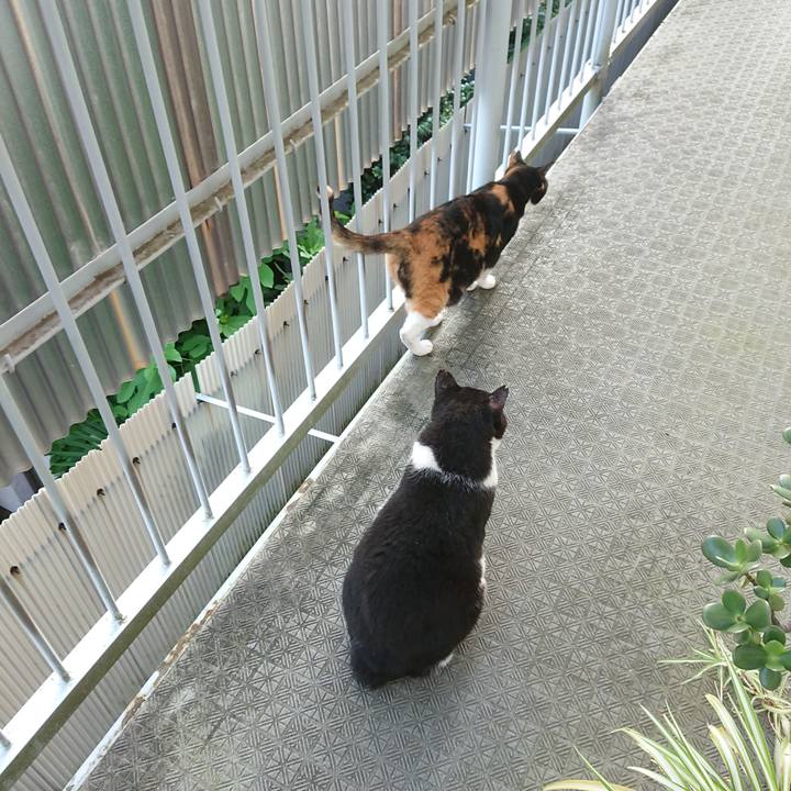 D57cbae8 aaa3 42c3 b430 2d50b455aa82 1596663356741