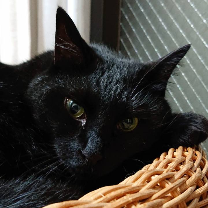 D57d019c 3e46 4de1 ac86 275580dcc096 1569628137311