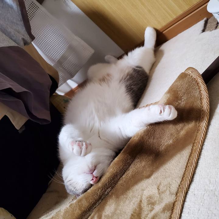 D57d0901 4a3e 4429 9962 9a0ab940ff68 1713517744811