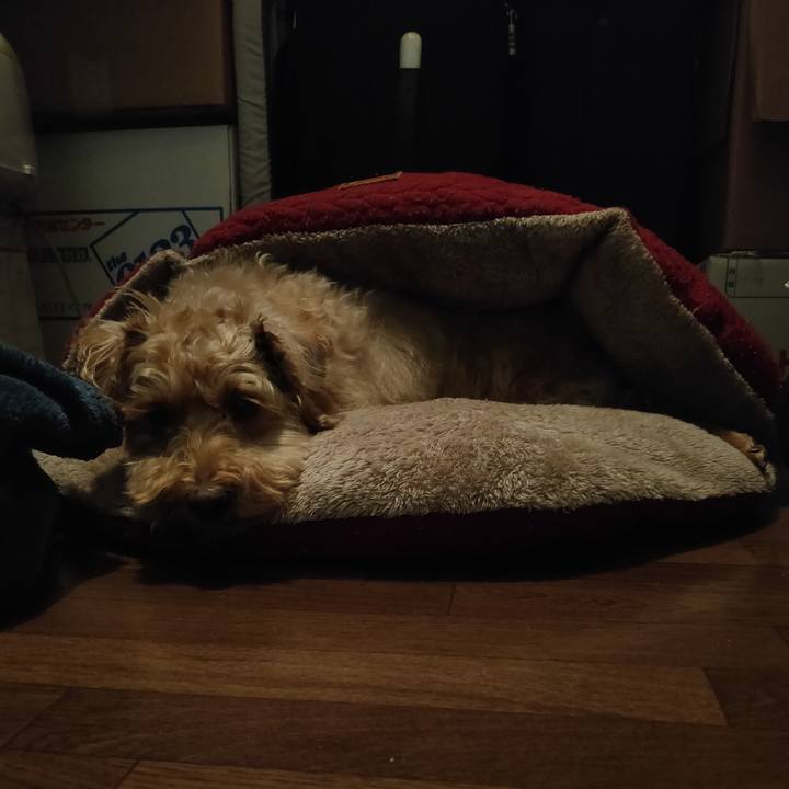 D57d0d58 1042 4eed b574 6b1976aa8993 1591830478031