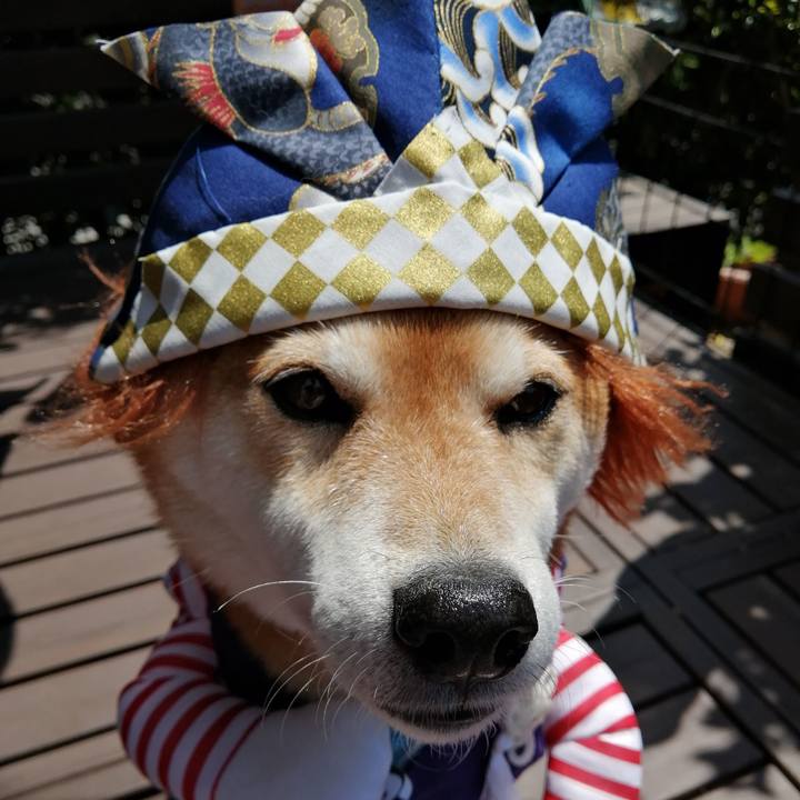 D57d1a8c ee71 4141 aa7e 84c5e5bff52f 1683175722220