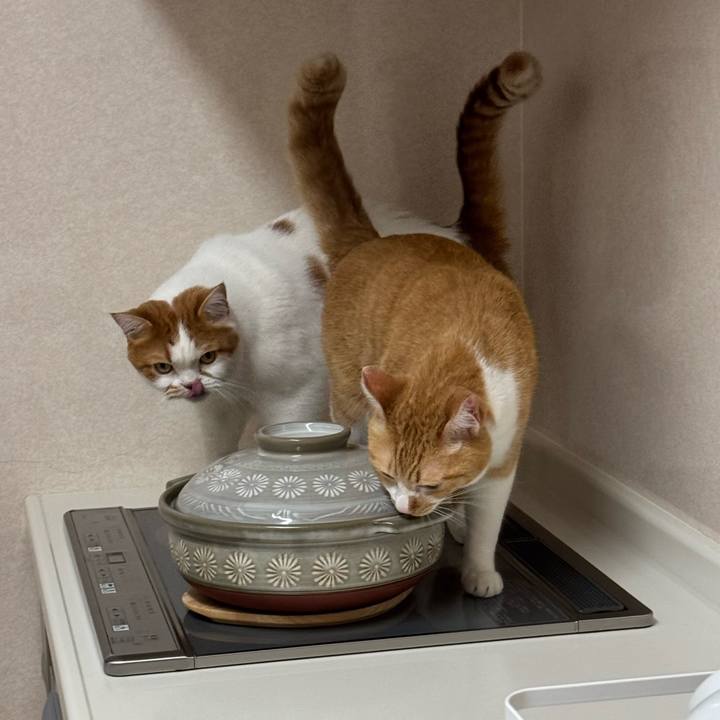 D57d37d7 4d60 4f0c b828 cdbc29f4af53 1771329802690