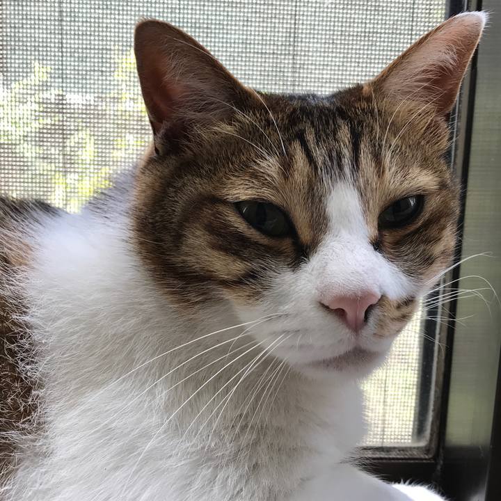 D57d4614 74ee 445b bf50 157d4e2b1c7a 1526456595656